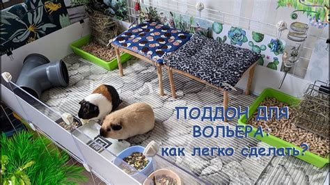 Поддон для вольера морских свинок: как быстро и ЛЕГКО сделать поддон с ...
