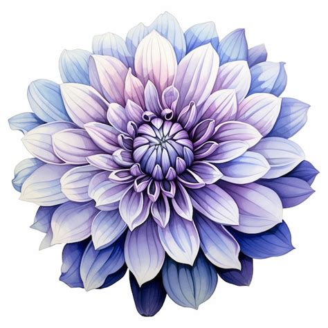 Premium Photo Purple And Blue Flower With Leaves On A White