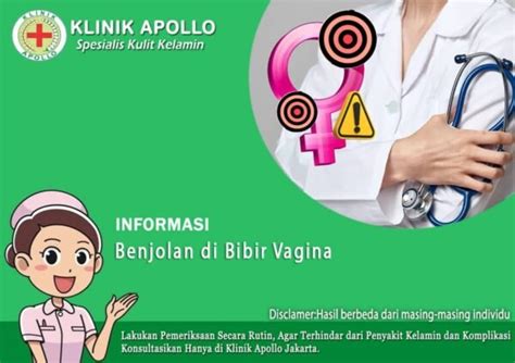 Benjolan Di Bibir Vagina Penyebab Dan Cara Menghilangkannya Klinik