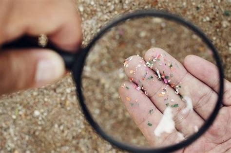 Technique Uses Ultrasound To Collect Microplastics In Water Gadgetonus