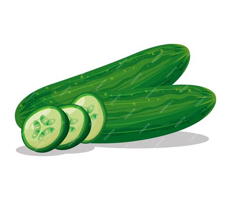 Premium Vector Cucumber Drawing Isolated Over White Background