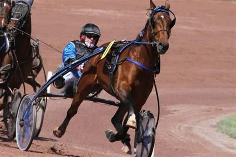 Grand Critérium de Vitesse de la Côte dAzur Gr I dimanche à Cagnes