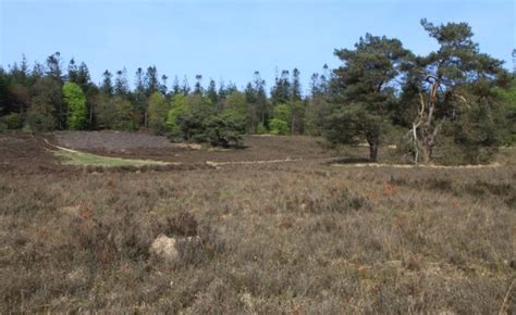 Een Droge Pingoruine Op Het Buinerveld Tussen Buinen En Ees Het