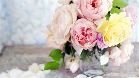 Ranunculus Wallpapers - 4k, HD Ranunculus Backgrounds on WallpaperBat