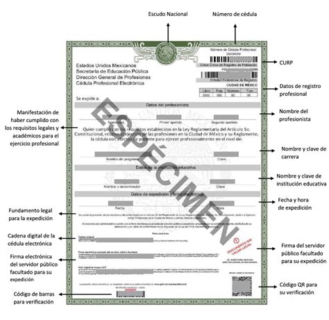 Cédula profesional 2024 Cómo descargarla en PDF