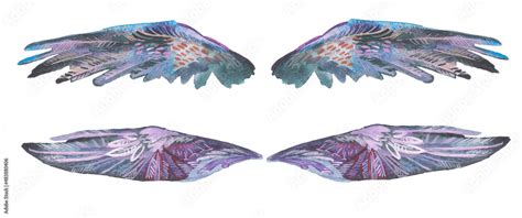 Watercolor Drawing Angel Wings Set Of Clipart Bird Wing In Different