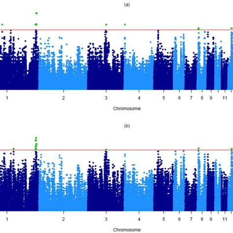 A Manhattan Plot Of The P Values In The Genome Wide Association Study