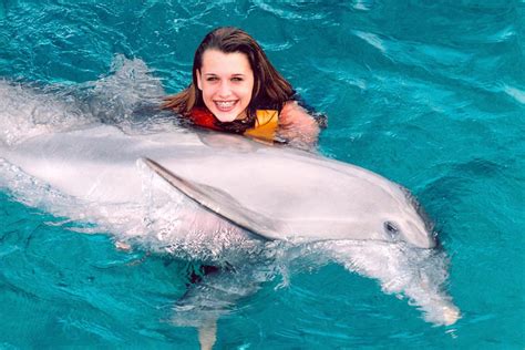 Swimming With Dolphins In Cancun Mexico • Travel Tips