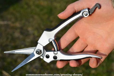 Tools Scissors Garden Pruning Shear High Carbon Steel Scissors