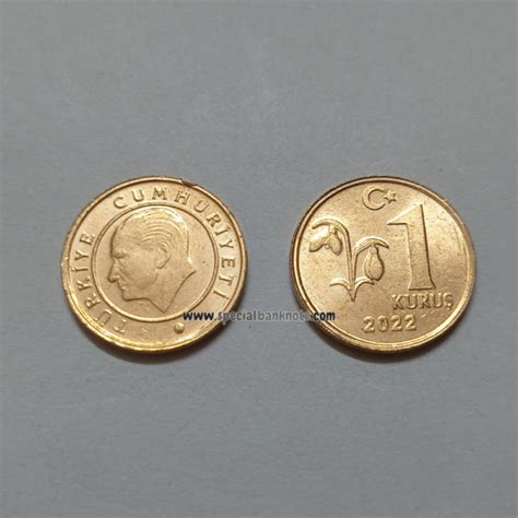 Turkey 1 Kuruş Coin 2022 UNC Special Minds Store