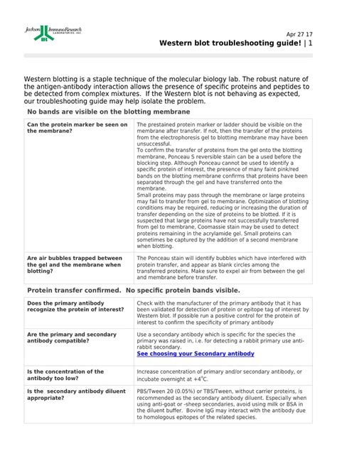 Western Blot Troubleshooting Guide! | PDF | Western Blot | Blot (Biology) 