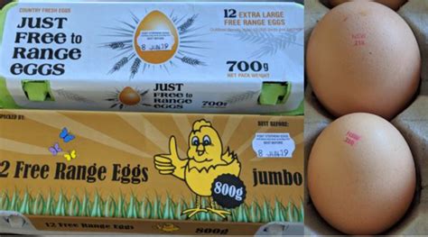 More eggs recalled as Salmonella outbreak investigation continues ...