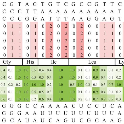 Distributions of tRNA isotypes, anticodons, and CAI‐w values in the ...