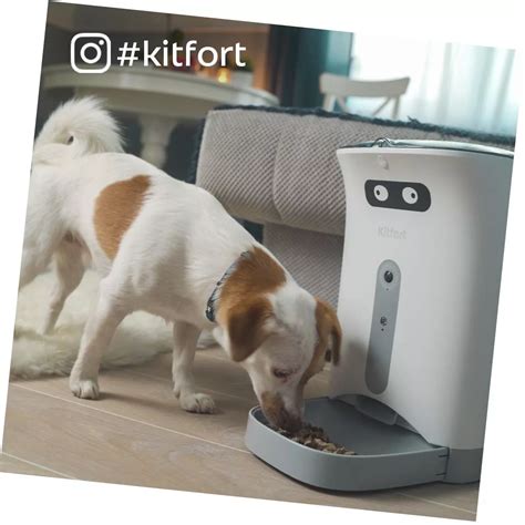 Умные кормушки для животных Kitfort - купить автоматические кормушки ...