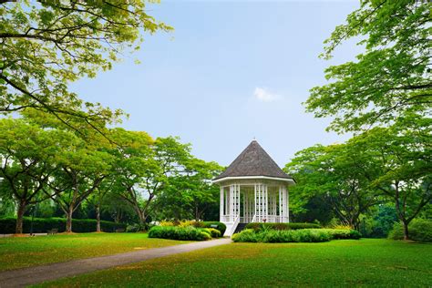 Visit Singapore Botanic Gardens & Explore Natural Wonderland