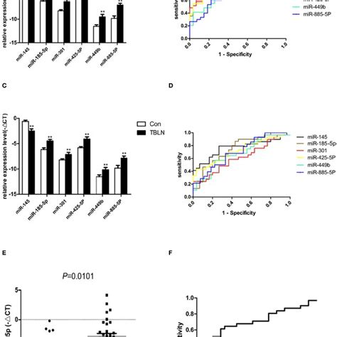 Differentially Expressed Mirnas Confirmed By Quantitative Real Time Pcr