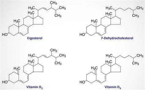 vitamin-d-structures - iBiologia