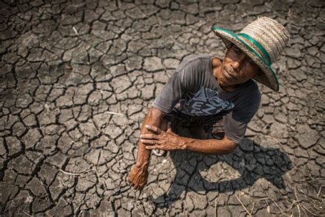 Extinciones Aceleradas Y Agotamiento De Agua Subterr Nea Onu Advierte