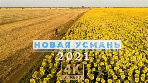 Новая Усмань 2021 - YouTube