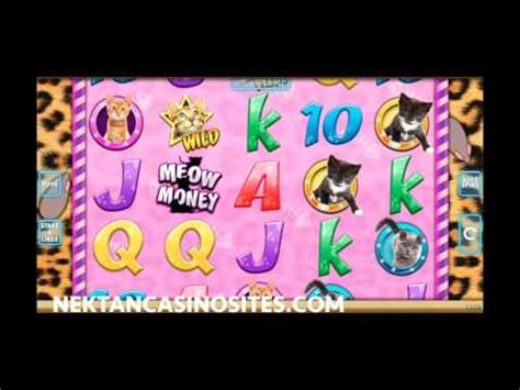 Meow Money Slot Review YouTube