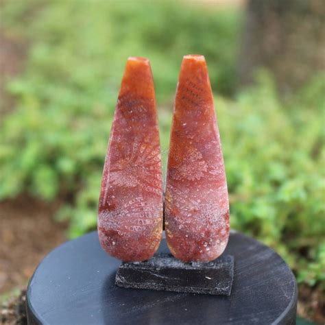 Red Fossil Coral Pair - Etsy