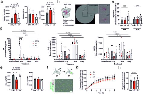 Genetic Contribution To Microglial Activation In Schizophrenia