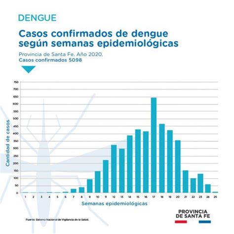 Dengue Solo Se Confirmaron 30 Nuevos Casos En La Provincia