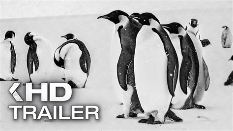 R Ckkehr Zum Land Der Pinguine Trailer German Deutsch Ut Youtube