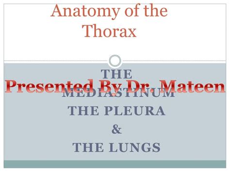 Mediastinum And The Pleura Ppt