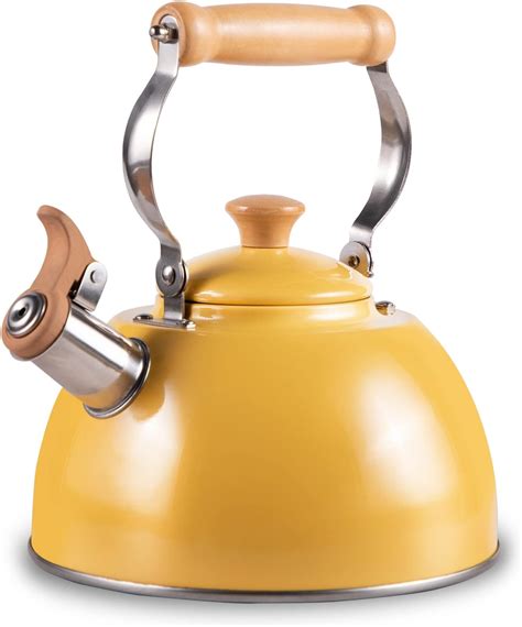 Amazon Whistling Kettle Infuser Loose Leaf Stainless Steel Teapot