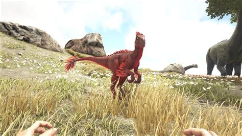 Modprimal Fearalpha Raptor Ark Survival Evolved Wiki