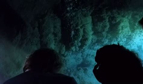 Divers Reach The Bottom Of The Great Blue Hole What They Discovered