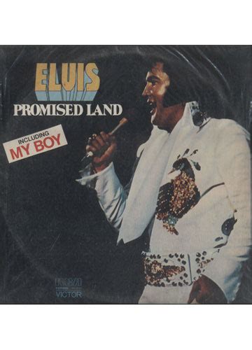 Sebo Do Messias LP Elvis Presley Promised Land