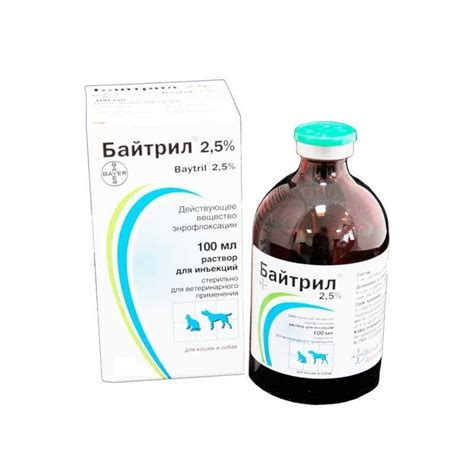 Baytril antibiotic for dogs