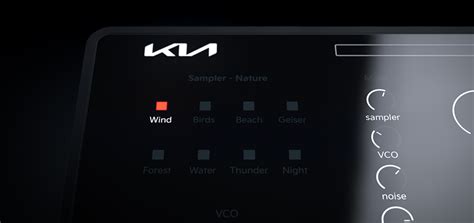 Our Instrument Sounds In Nature Movement That Inspires Kia Global