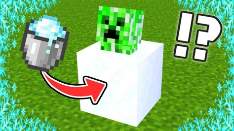 粉雪ブロックにクリーパーを入れると何が起こる【マイクラ】 Shorts マイクラ（minecraft）動画まとめ