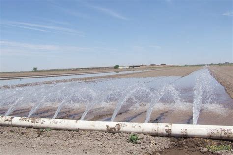 Mil Litros Diarios De Agua Tratada Son Para Uso En Riego