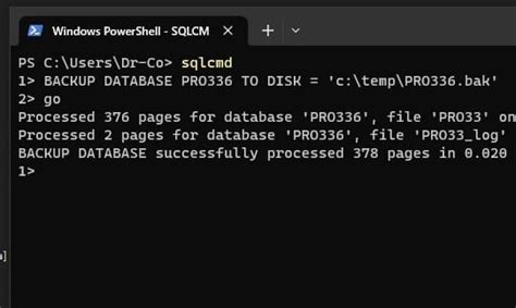 Complete Guide To Sql Server Backup And Restore Using The Command Line