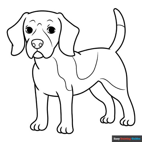 Beagle Coloring Page | Easy Drawing Guides