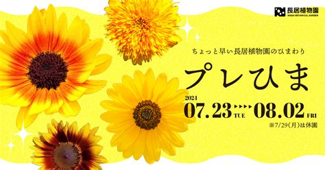 プレひま~ちょっと早い長居植物園のひまわり~ イベント情報 大阪市立長居植物園