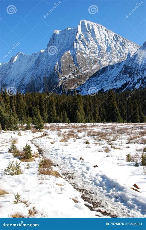 Snow Mountain And Meadow Stock Photo Image Of Open November 7475076