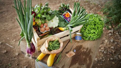 Potagers Et Compagnie Des Potagers En Entreprise France Inter