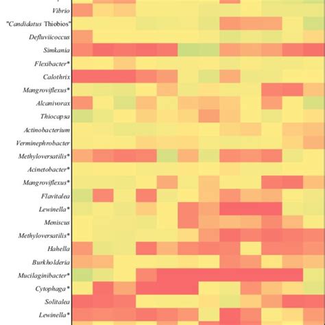 Heat Map Of The Top 20 Most Abundant Otus In Each Sample Classified At Download Scientific