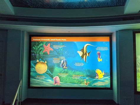 PHOTOS VIDEO Turtle Talk With Crush Reopens At EPCOT WDW News Today