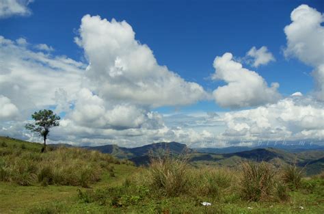 Elevation of Kattappana, Kerala, India - Topographic Map - Altitude Map