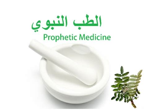 How Arab medicine found a new home in medieval India: Report - Muslim ...