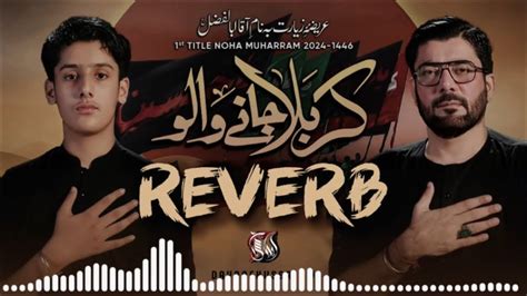 Karbala Janay Walo Slowed And Reverb Mir Jawad Mir Mir Hasan Mir