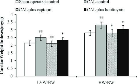 Effects Of Houttuynin On Cardiac Weight Indexes In Rats With