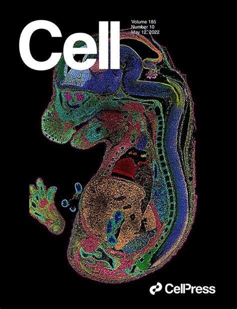 Stomics Makes The Cell Cover With Unprecedented Scaleand Resolution