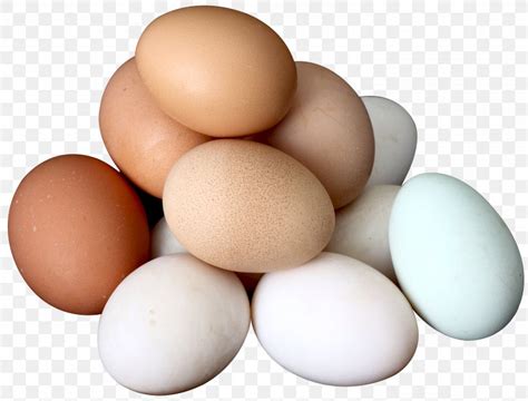 Chicken Egg White Yolk Boiled Egg PNG 3000x2283px Chicken Boiled